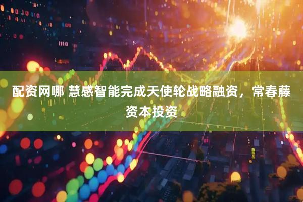 配资网哪 慧感智能完成天使轮战略融资，常春藤资本投资