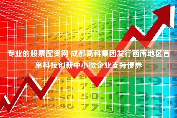 专业的股票配资网 成都高科集团发行西南地区首单科技创新中小微企业支持债券