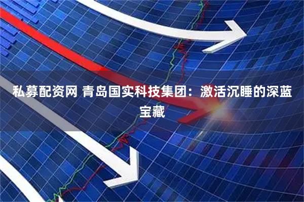 私募配资网 青岛国实科技集团：激活沉睡的深蓝宝藏