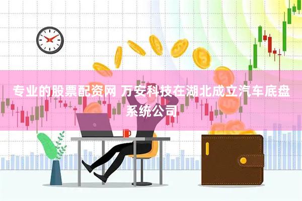 专业的股票配资网 万安科技在湖北成立汽车底盘系统公司